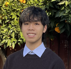 MLC tutor