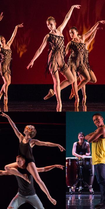 Images 2016 dancers performing on stage in various costumes.