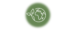 Environmental Ethics 