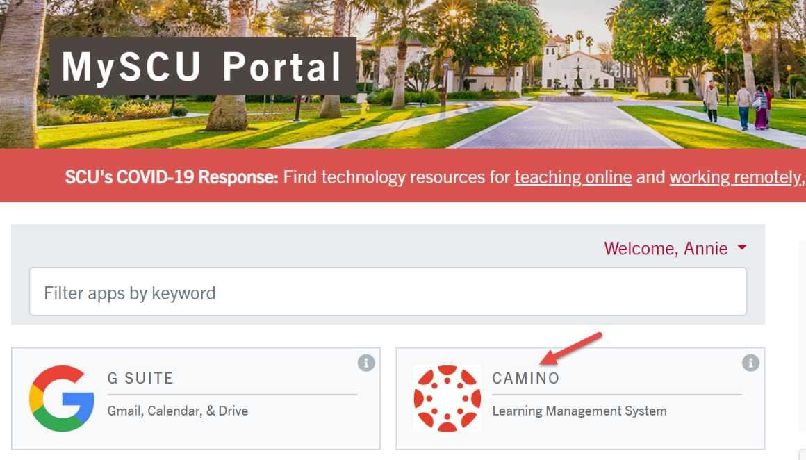 Login to Camino