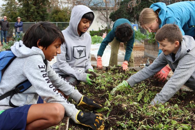 Garden to Table photo 1