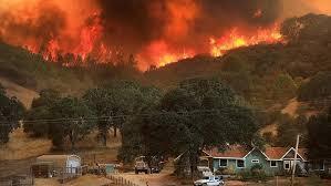 Forest fire raging near a residential area with a burning orange sky.