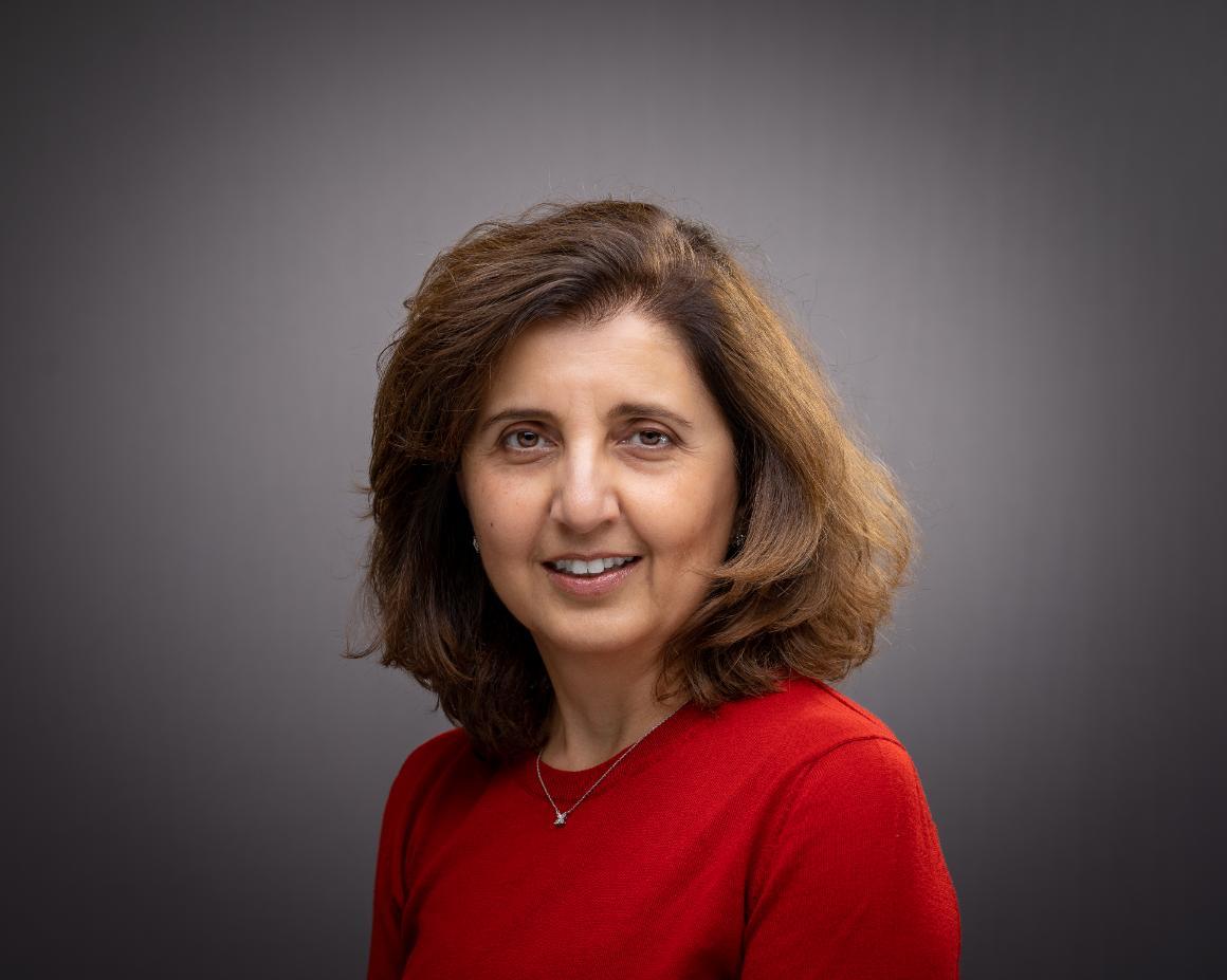 Maryam Khanbaghi image link to story