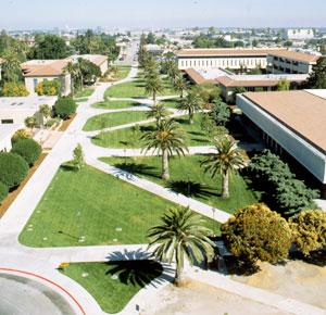 The Alameda