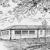 The Montgomery Lab 